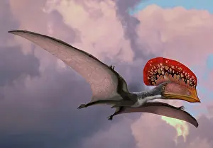 Wingspan: Caupedactylus ybaka, an extinct pterosaur from the ?