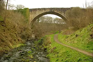 Tanfield: Causey Arch, County Durham