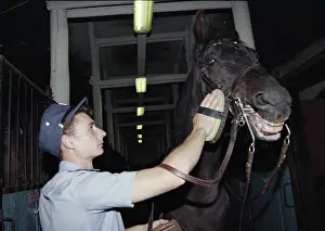 Grooms: Cavalry battalion of Moscow