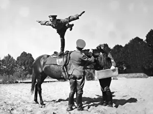 Trough: Cavalry of the Wehrmacht, 1936