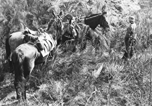 Therefore: Cavalry of the Wehrmacht in the 30s