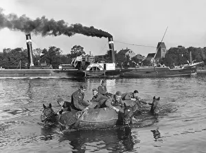 Cavalrymen: Cavalry of the Wehrmacht while crossing a river in the 3