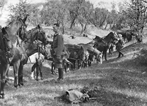 Available: Cavalry of the Wehrmacht during an exercise on the River