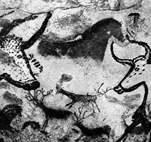 Stags: Cave art paintings, prehistoric discovery