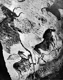 Thickness: Cave art paintings, prehistoric discovery