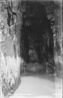 Lichen: A Cave at Black Rock