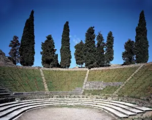 Cypresses: The cavea of the Large