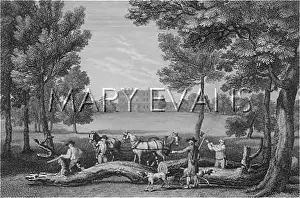 Caversham: CAVERSHAM PARK/OXON 1787