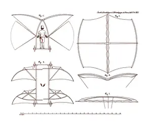 Aerodynamics: Cayley Flying Machine, 1853