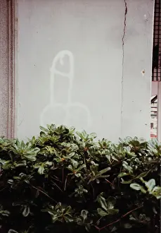 Salo: Cazzo graffito