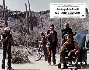 CC AND COMPANY
