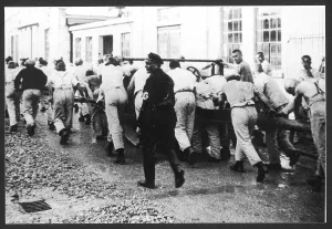 Forced: C.CAMPS/DACHAU/LABOUR