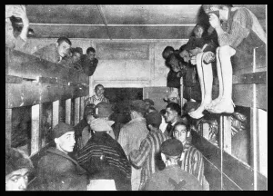 Inmates: C.CAMPS/INMATES