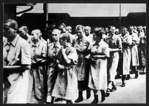 Forced: C.CAMPS/WOMEN WORKING