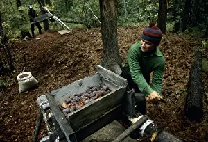 Nuts: Cedar craft, 1983