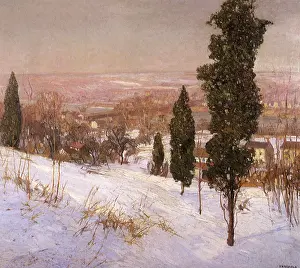 Cedar: Cedar Hill