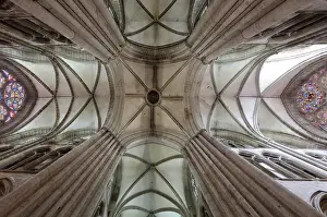 Samsons: Ceiling, Cathedral Saint-Samson, Dol-de-Bretagne