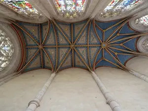 Bosse: Ceiling, Chapelle Saint-Calais, Chateau Royal de Blois