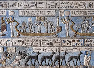 Jackal: Ceiling Relief - Pronaos, Temple of Hathor, Dendera Complex