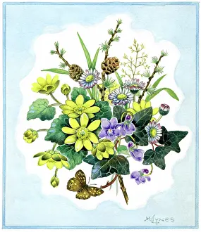 Larch: Celandines, Violets, Daisies, Ivy etc