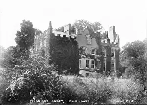 Closer: Celbridge Abbey, Co. Kildare