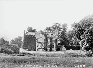 Kildare: Celbridge Abbey, Co. Kildare