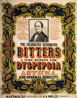 Bitters: The Celebrated Oxygenated Bitters