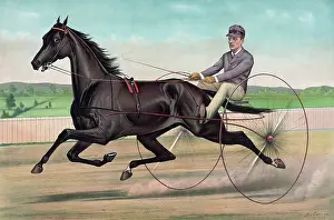 Trotter: Celebrated trotter Jay Eye See, driven by Ed. Bithers: By Di
