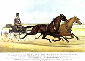 Maud: The Celebrated Trotting Mares Maud S. and Aldine