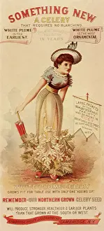 Celery: Celery Seed Ad
