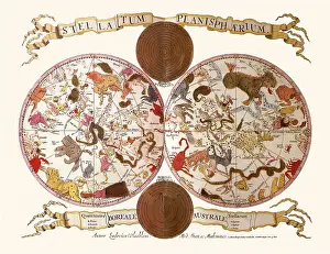 Planisphere: Celestial Chart