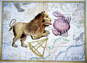 Bode: Celestial Star Map of Leo and Cancer Constellations