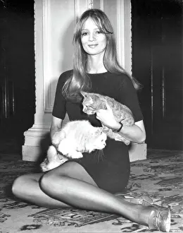 Hammond: Celia Hammond - model and animal campaigner