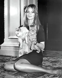 Hammond: Celia Hammond - model and animal campaigner