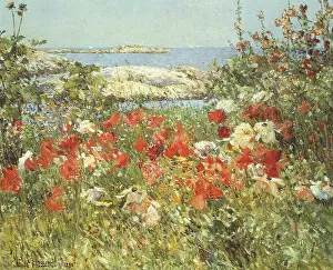 Shoals: Celia Thaxter's Garden, Isle of Shoals