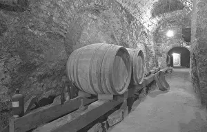Jovan: Cellar - barrel - wine - vintage