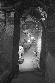 Jovan: Cellar - barrel - wine - vintage