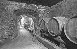 Jovan: Cellar - barrel - wine - vintage