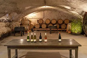 Hectares: Cellar, Chateau de Javernand, Chiroubles, Beaujolais, France