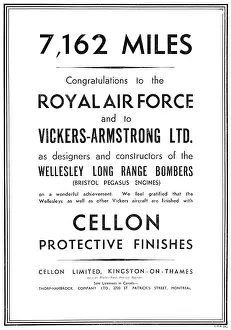 Dopes: Cellon Aircraft Dopes & Finishes