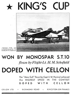 Dopes: Cellon Aircraft Dopes, Paints & Finishes