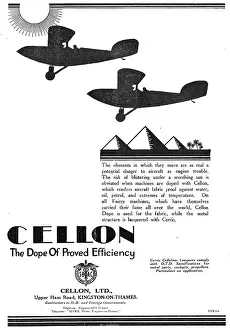Climates: Cellon Aircraft Doping Schemes Are