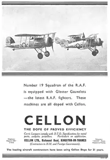 Cellon: Cellon Aircraft Fabric Dope - Gloster