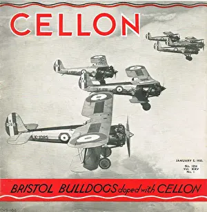 Cellon: Cellon Bristol Bulldog