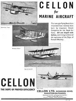 Cellon: Cellon Dope For Marine Aircraft