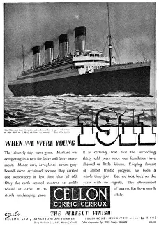 Cellon: Cellon Protective Finishes