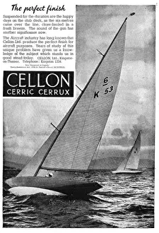 Cellon: Cellon Protective Finishes
