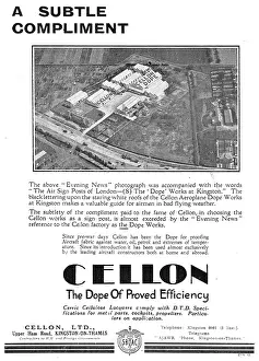 Subtle: Cellon - A Subtle Compliment
