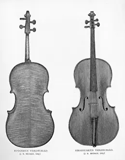 Strad: Two cellos by Ruggerius and Stradivarius