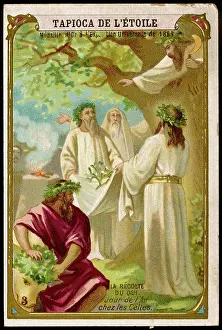 Druid: Celtic New Year